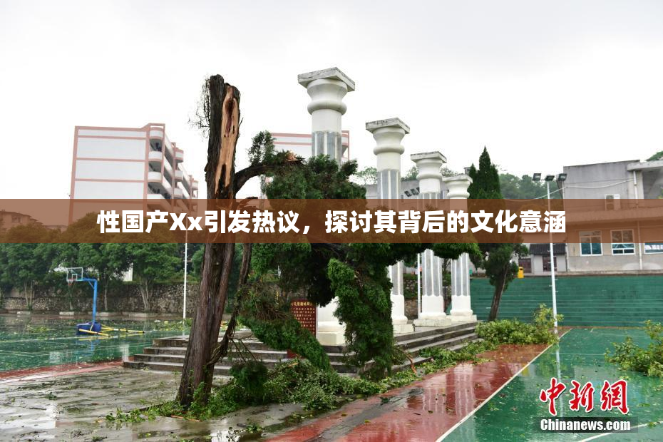 性国产Xx引发热议，探讨其背后的文化意涵
