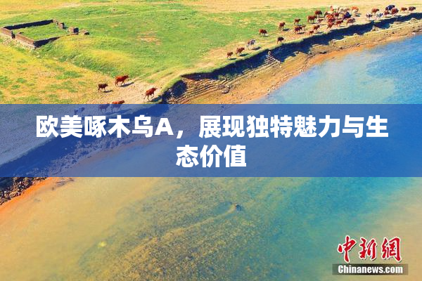 欧美啄木乌A，展现独特魅力与生态价值