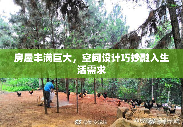 房屋丰满巨大，空间设计巧妙融入生活需求