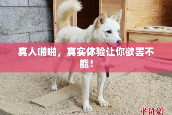 真人啪啪，真实体验让你欲罢不能！