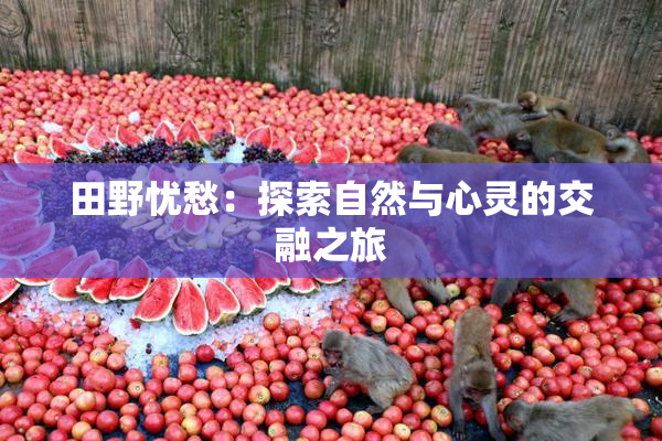 田野忧愁：探索自然与心灵的交融之旅