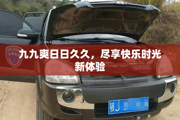 九九爽日日久久，尽享快乐时光新体验