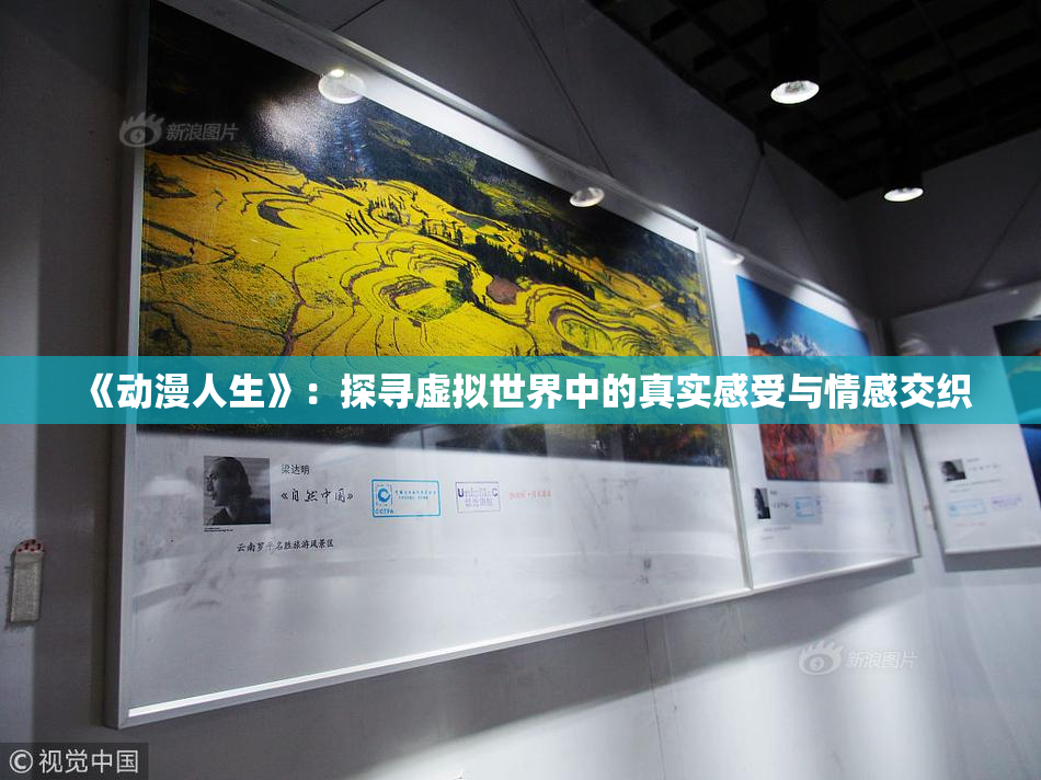 《动漫人生》：探寻虚拟世界中的真实感受与情感交织