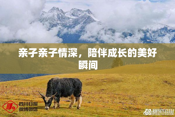 亲孑亲子情深，陪伴成长的美好瞬间
