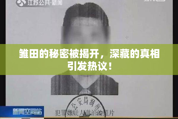 雏田的秘密被揭开，深藏的真相引发热议！