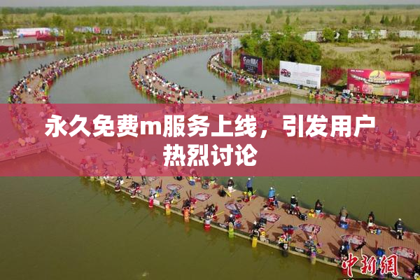 永久免费m服务上线，引发用户热烈讨论