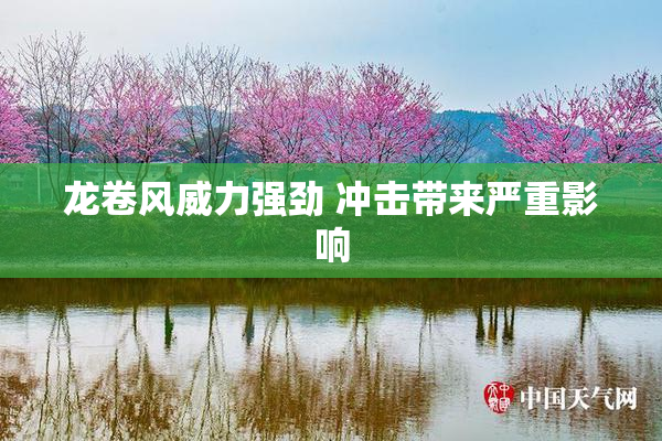 龙卷风威力强劲 冲击带来严重影响