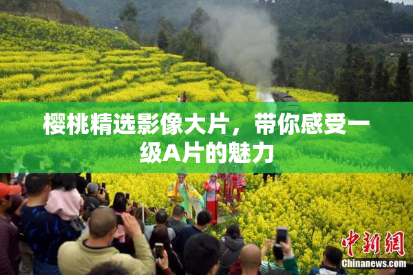 樱桃精选影像大片，带你感受一级A片的魅力