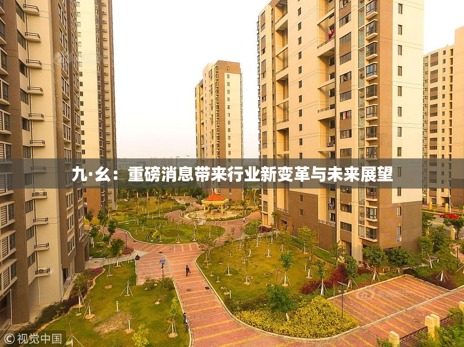 九·幺：重磅消息带来行业新变革与未来展望