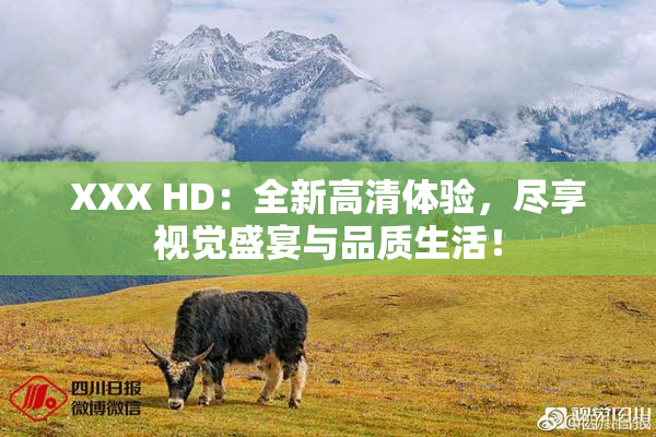 XXX HD：全新高清体验，尽享视觉盛宴与品质生活！