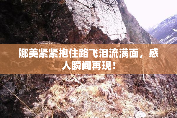 娜美紧紧抱住路飞泪流满面，感人瞬间再现！