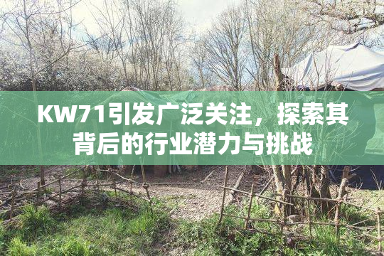 KW71引发广泛关注，探索其背后的行业潜力与挑战
