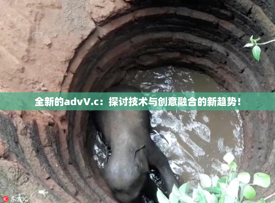 全新的advV.c：探讨技术与创意融合的新趋势！