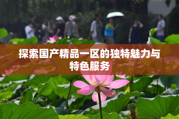 探索国产精品一区的独特魅力与特色服务