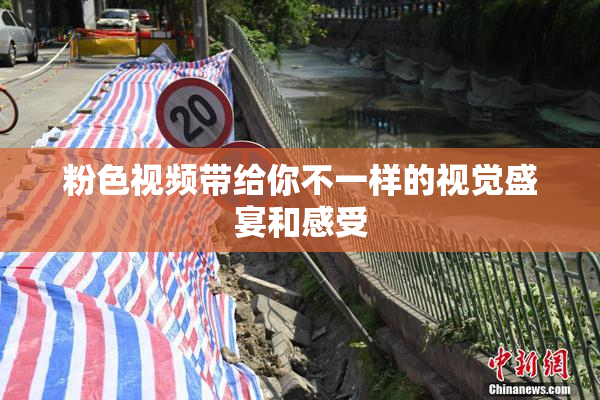 粉色视频带给你不一样的视觉盛宴和感受