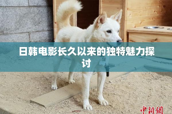 日韩电影长久以来的独特魅力探讨