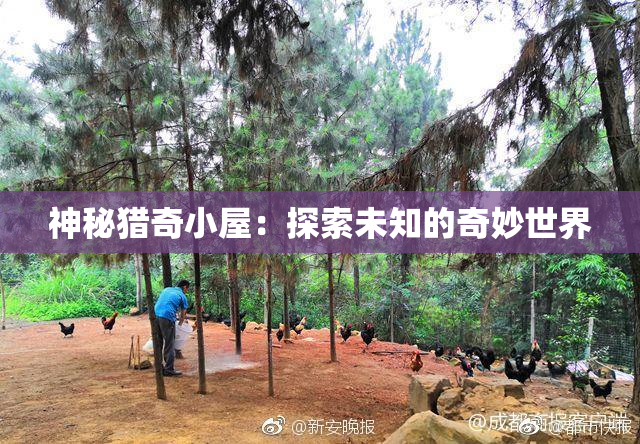神秘猎奇小屋：探索未知的奇妙世界