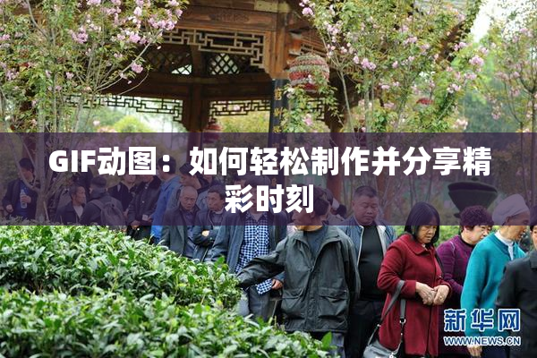 GIF动图：如何轻松制作并分享精彩时刻