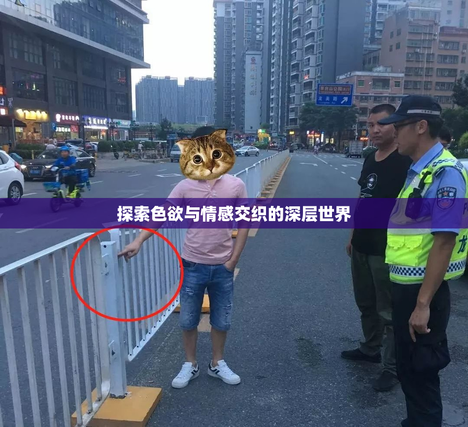 探索色欲与情感交织的深层世界