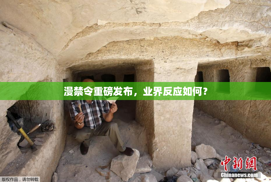 漫禁令重磅发布，业界反应如何？