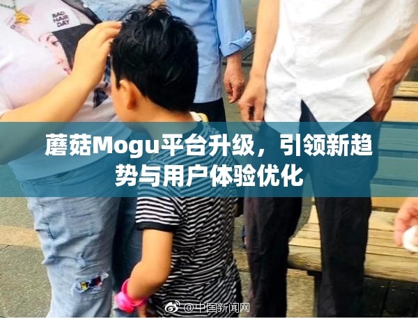 蘑菇Mogu平台升级，引领新趋势与用户体验优化