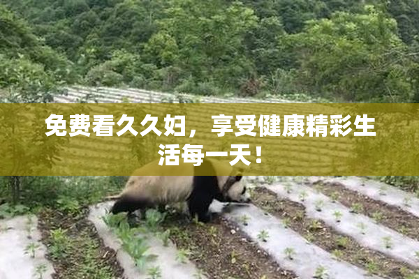 免费看久久妇，享受健康精彩生活每一天！