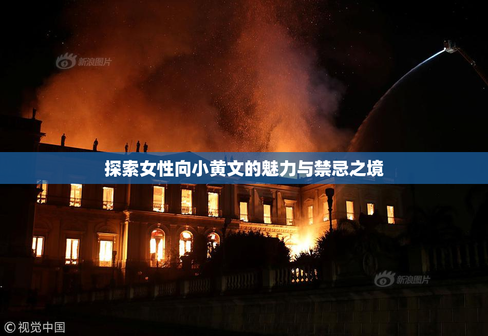 探索女性向小黄文的魅力与禁忌之境