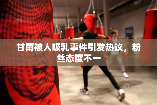 甘雨被人吸乳事件引发热议，粉丝态度不一