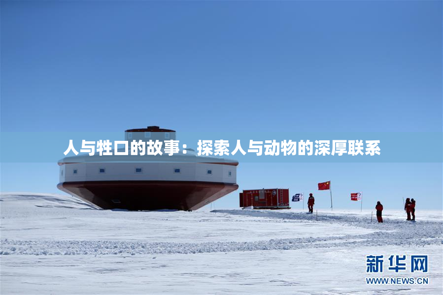人与牲口的故事：探索人与动物的深厚联系