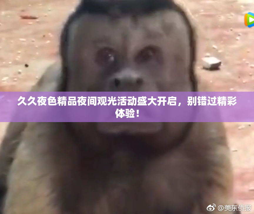 久久夜色精品夜间观光活动盛大开启，别错过精彩体验！