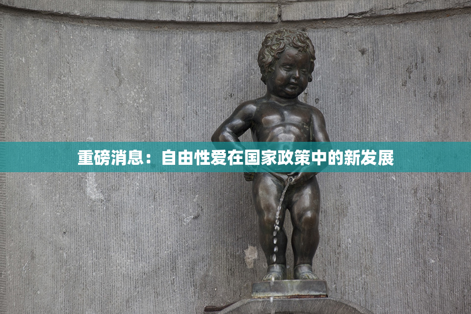重磅消息：自由性爱在国家政策中的新发展