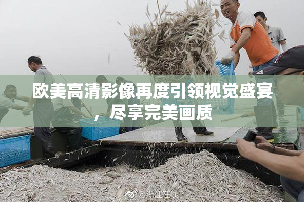欧美高清影像再度引领视觉盛宴，尽享完美画质