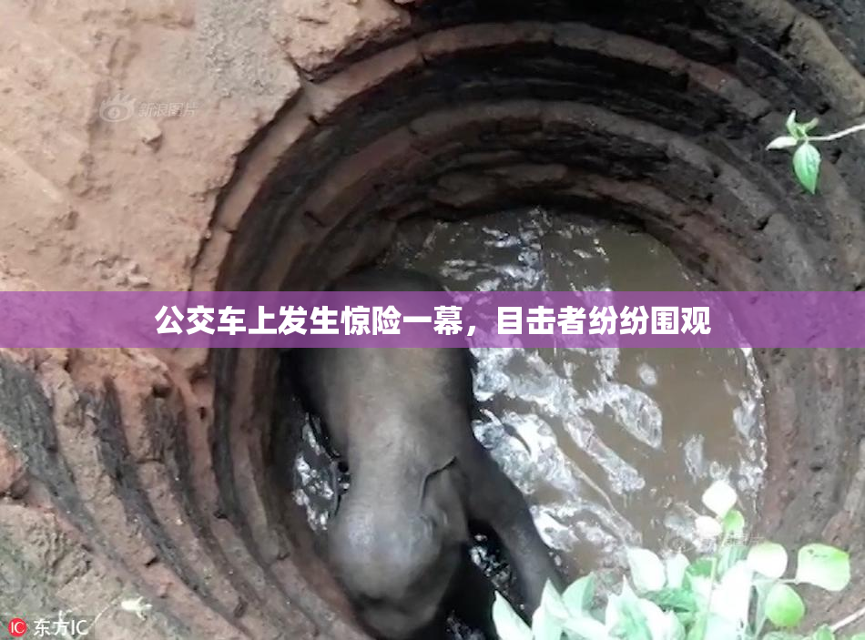公交车上发生惊险一幕，目击者纷纷围观