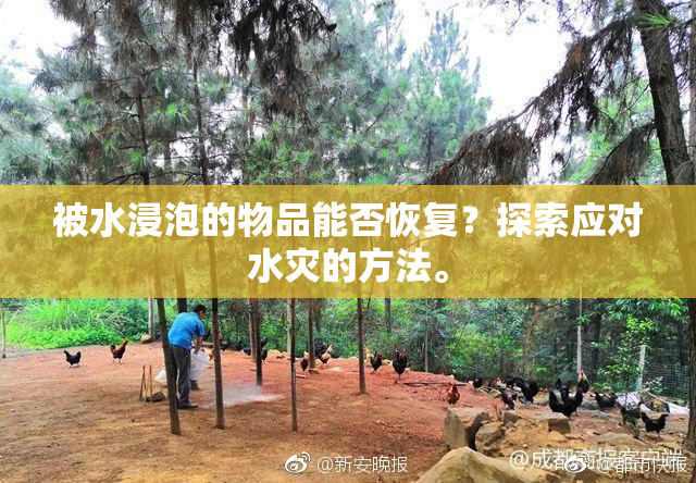 被水浸泡的物品能否恢复？探索应对水灾的方法。
