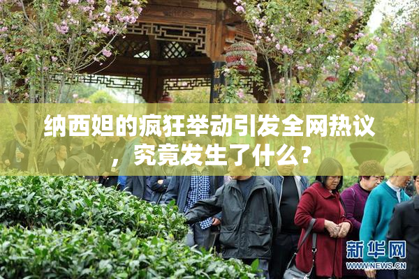 纳西妲的疯狂举动引发全网热议，究竟发生了什么？