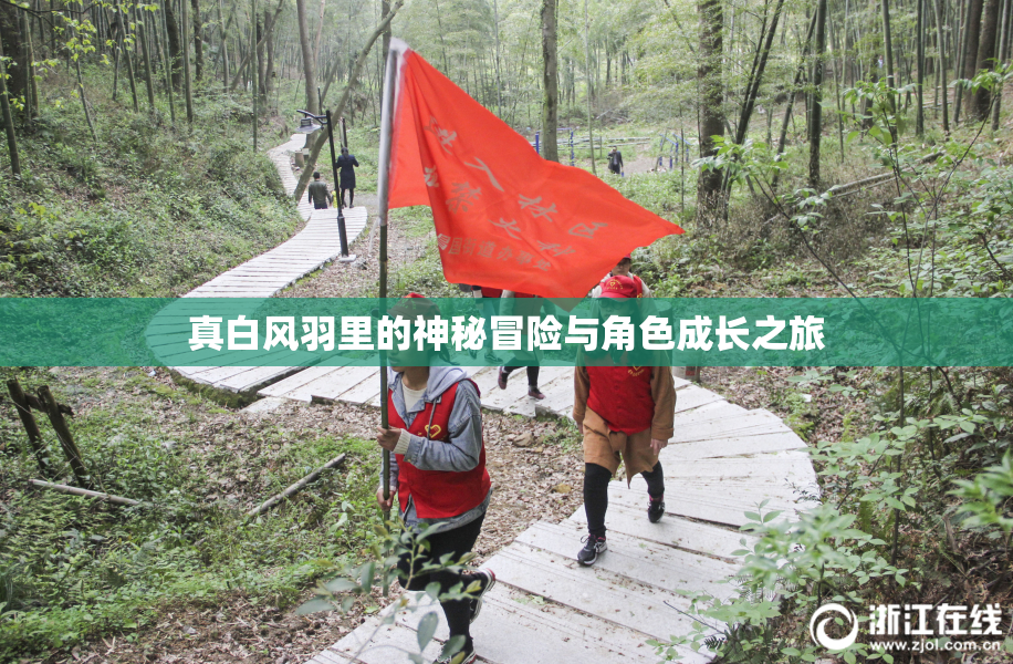 真白风羽里的神秘冒险与角色成长之旅