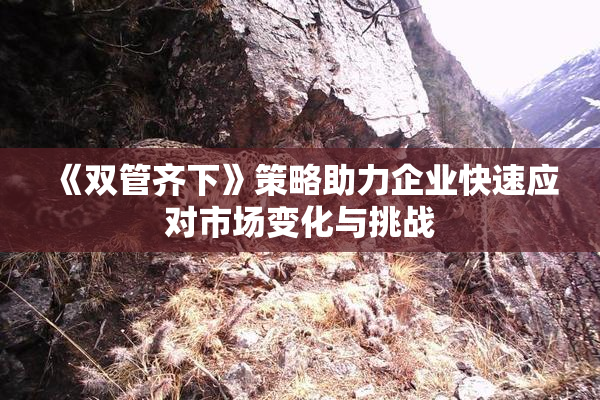 《双管齐下》策略助力企业快速应对市场变化与挑战