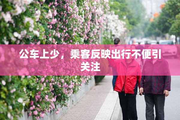 公车上少，乘客反映出行不便引关注