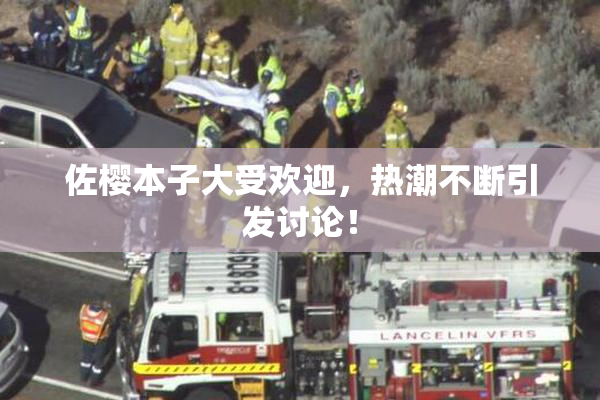 佐樱本子大受欢迎，热潮不断引发讨论！