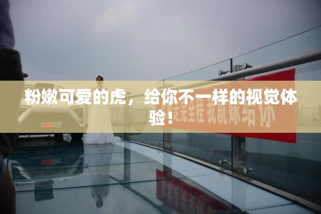 粉嫩可爱的虎，给你不一样的视觉体验！