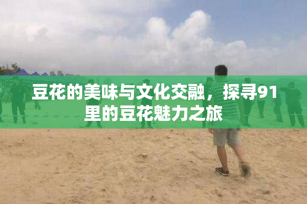 豆花的美味与文化交融，探寻91里的豆花魅力之旅
