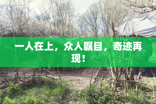 一人在上，众人瞩目，奇迹再现！