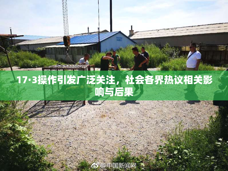 17·3操作引发广泛关注，社会各界热议相关影响与后果