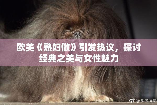 欧美《熟妇做》引发热议，探讨经典之美与女性魅力