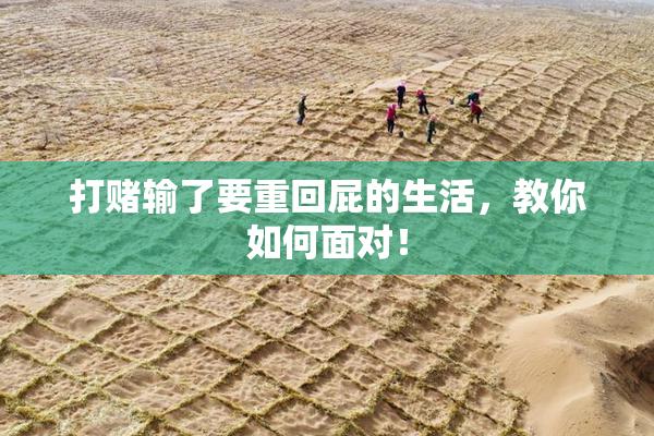 打赌输了要重回屁的生活，教你如何面对！
