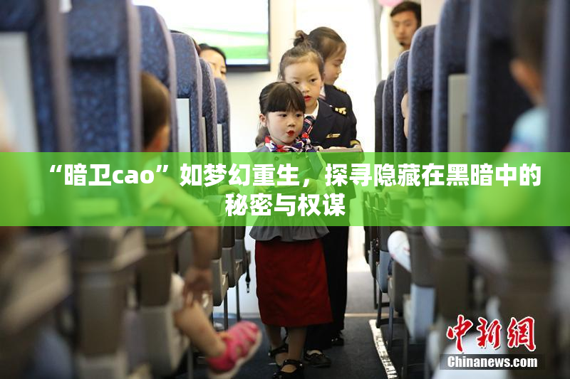 “暗卫cao”如梦幻重生，探寻隐藏在黑暗中的秘密与权谋