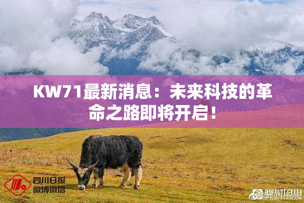 KW71最新消息：未来科技的革命之路即将开启！