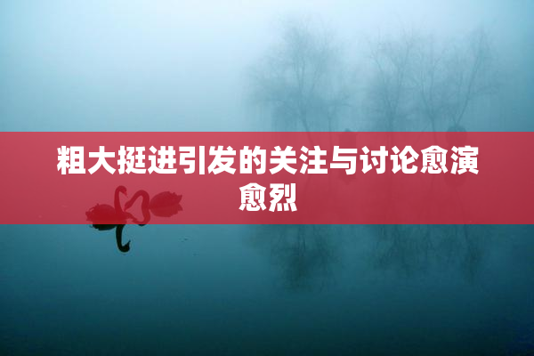 粗大挺进引发的关注与讨论愈演愈烈