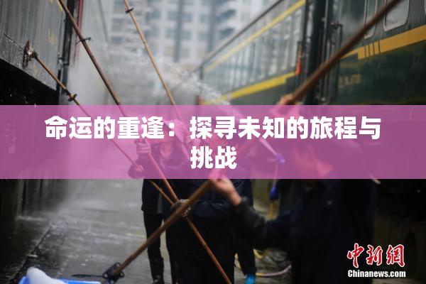 命运的重逢：探寻未知的旅程与挑战