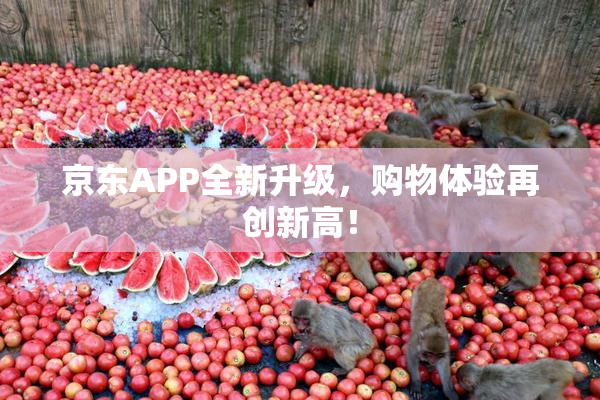 京东APP全新升级，购物体验再创新高！